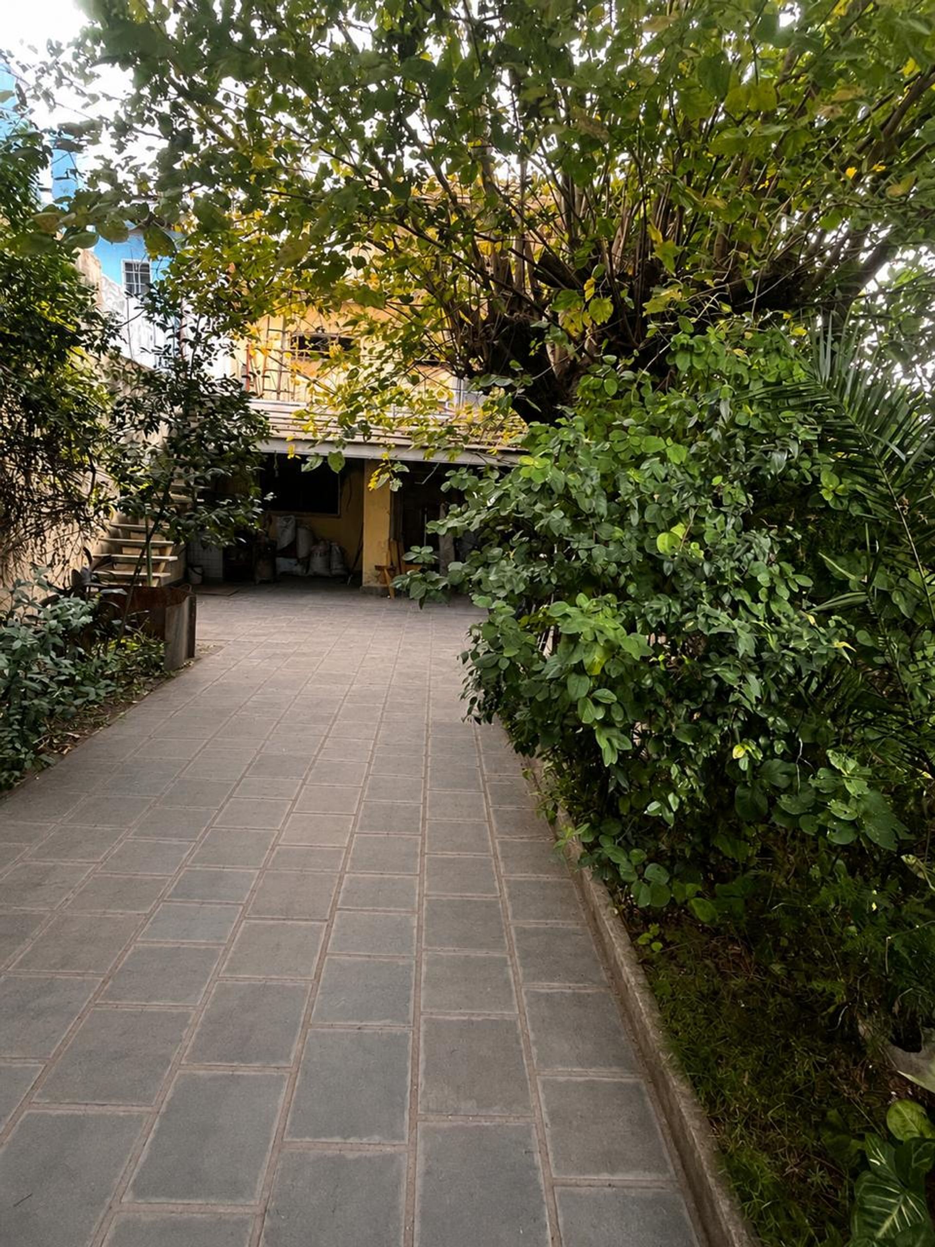 Casa a refaccionar en Martínez con gran potencial