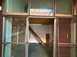 Venta de local comercial sobre Maipú Florida Mitre