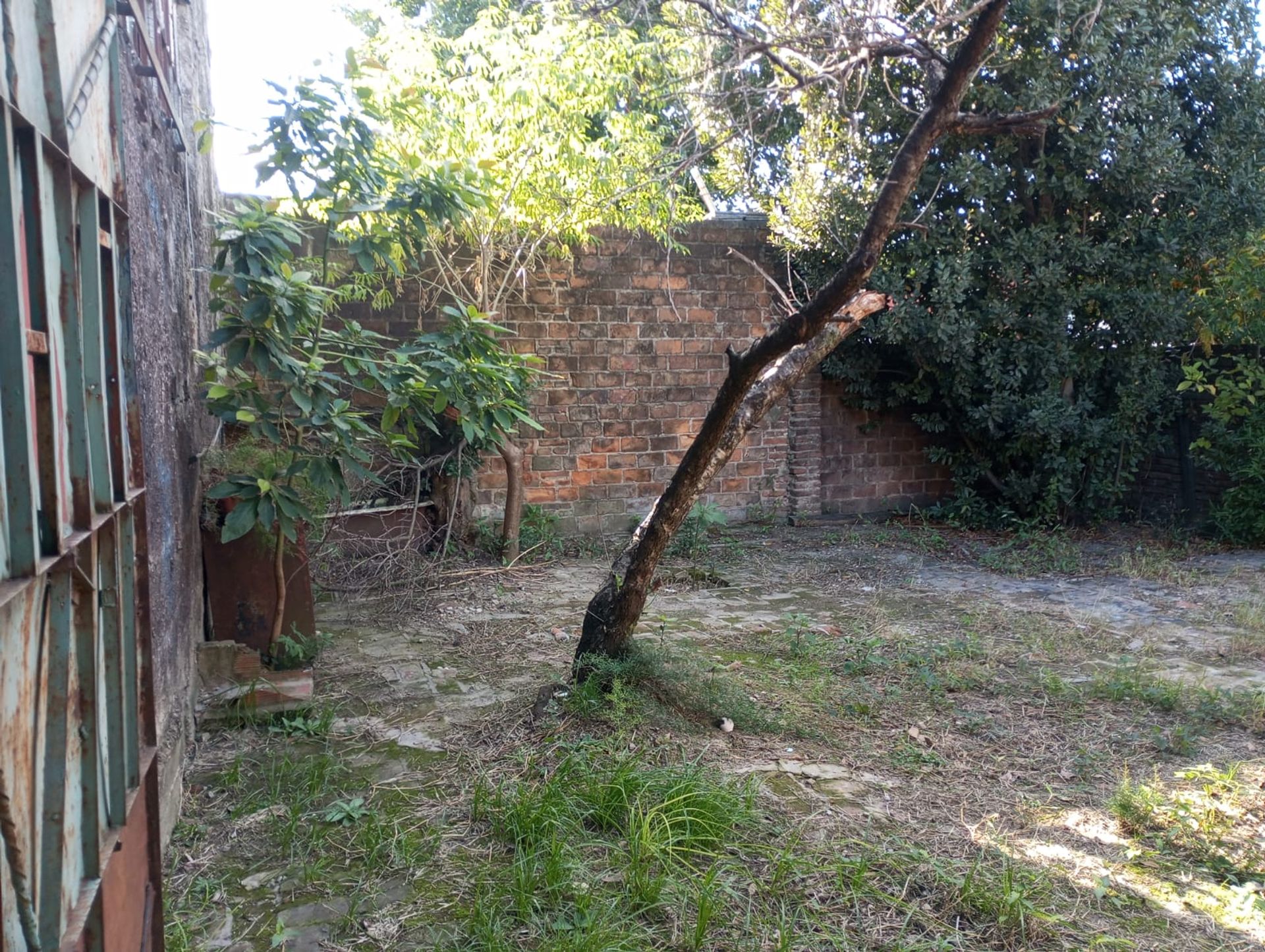 Galpón / Depósito sobre Av. Avellaneda – Virreyes