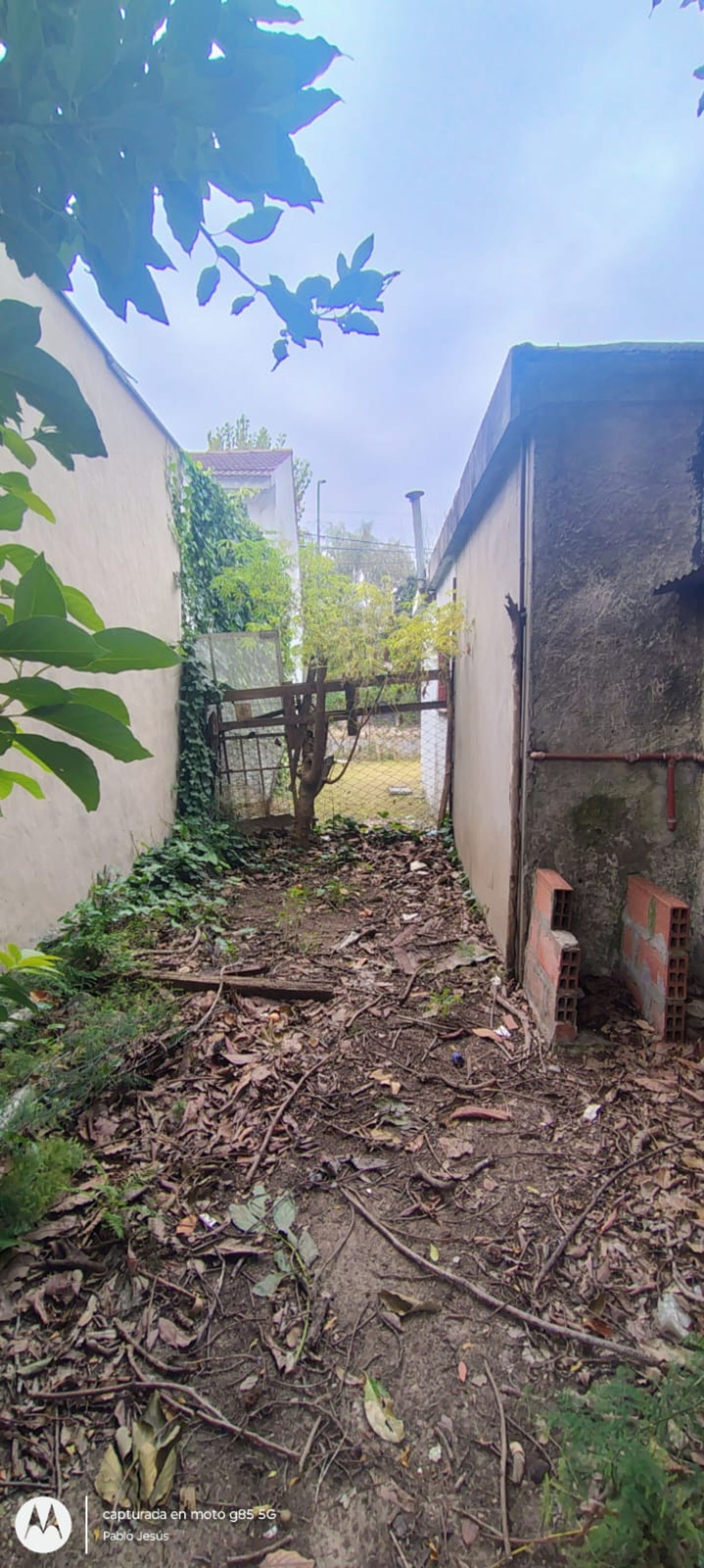 Lote con casa a refaccionar o demoler en Benavidez