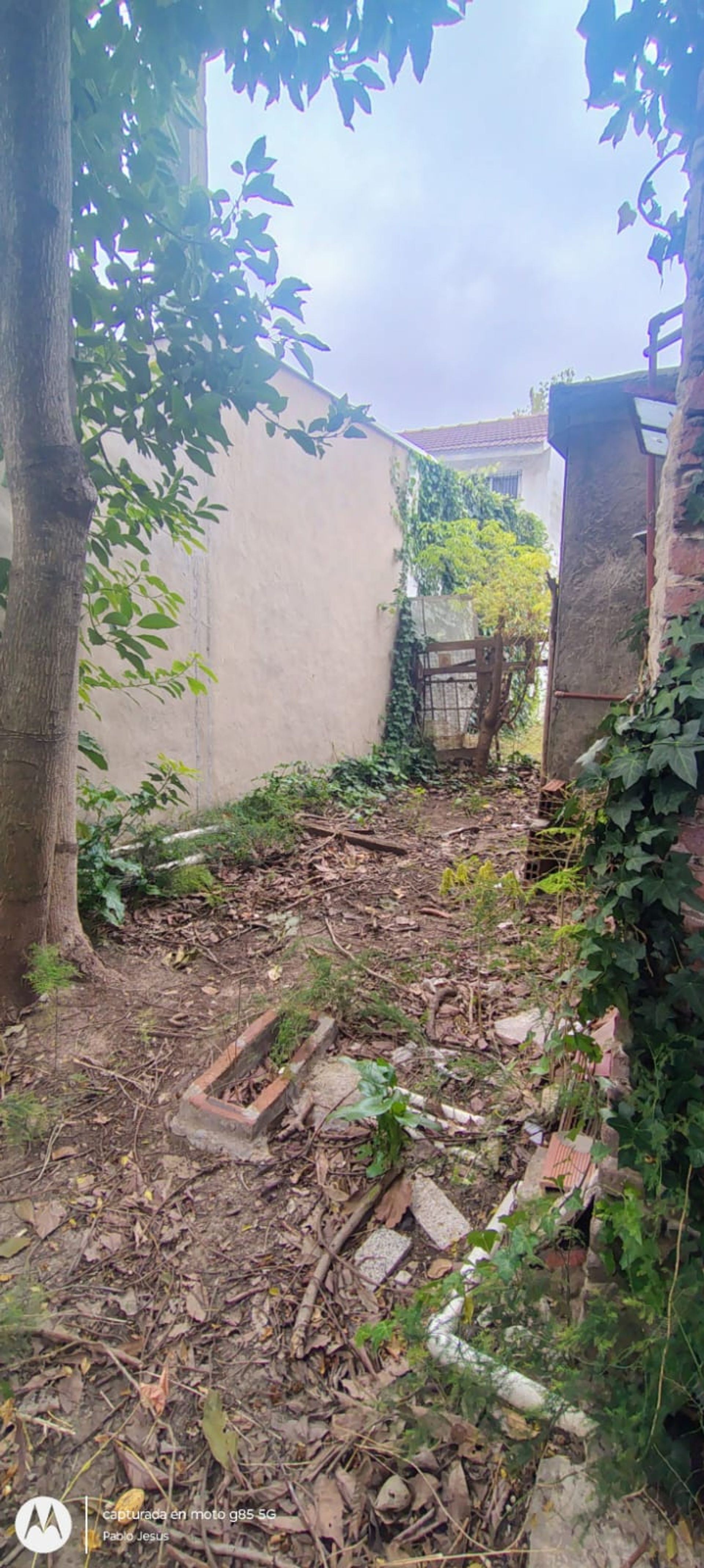 Lote con casa a refaccionar o demoler en Benavidez
