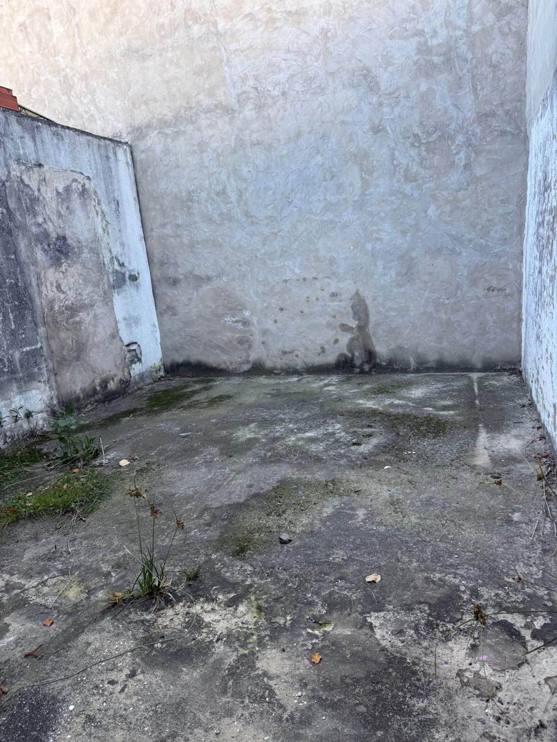 Venta En Virreyes Zona Comercial 2 Locales