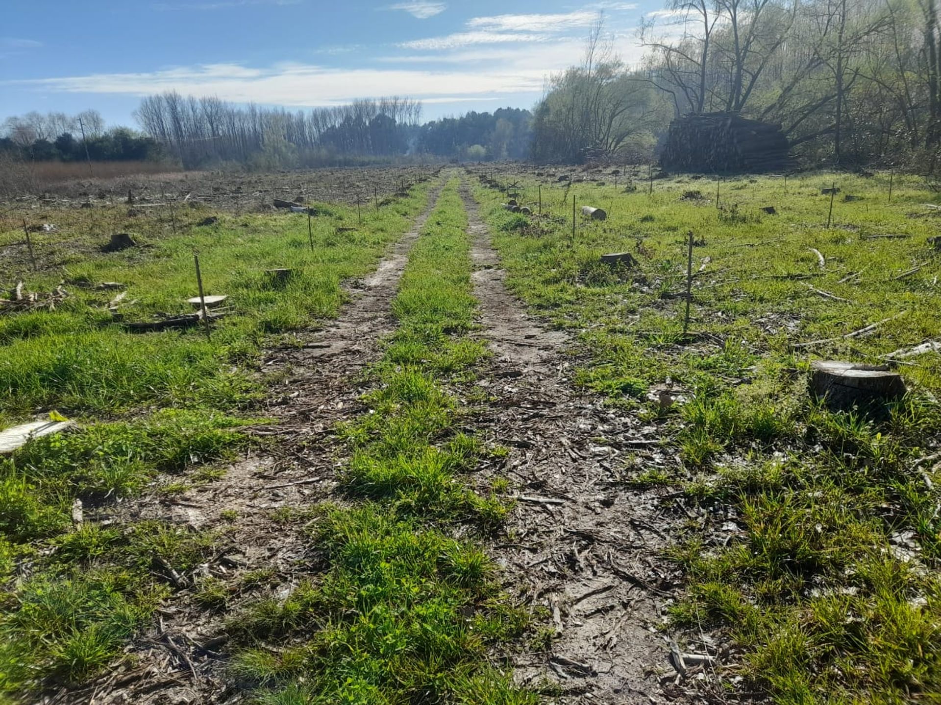VENTA 18 HECTAREAS 2da SEC. SAN FERNANDO