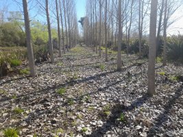 VENTA TERRENO 18 HECTAREAS 2da SEC. SAN FERNANDO