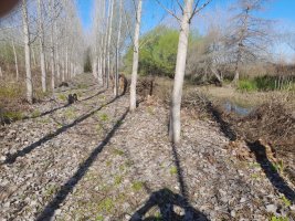VENTA TERRENO 18 HECTAREAS 2da SEC. SAN FERNANDO