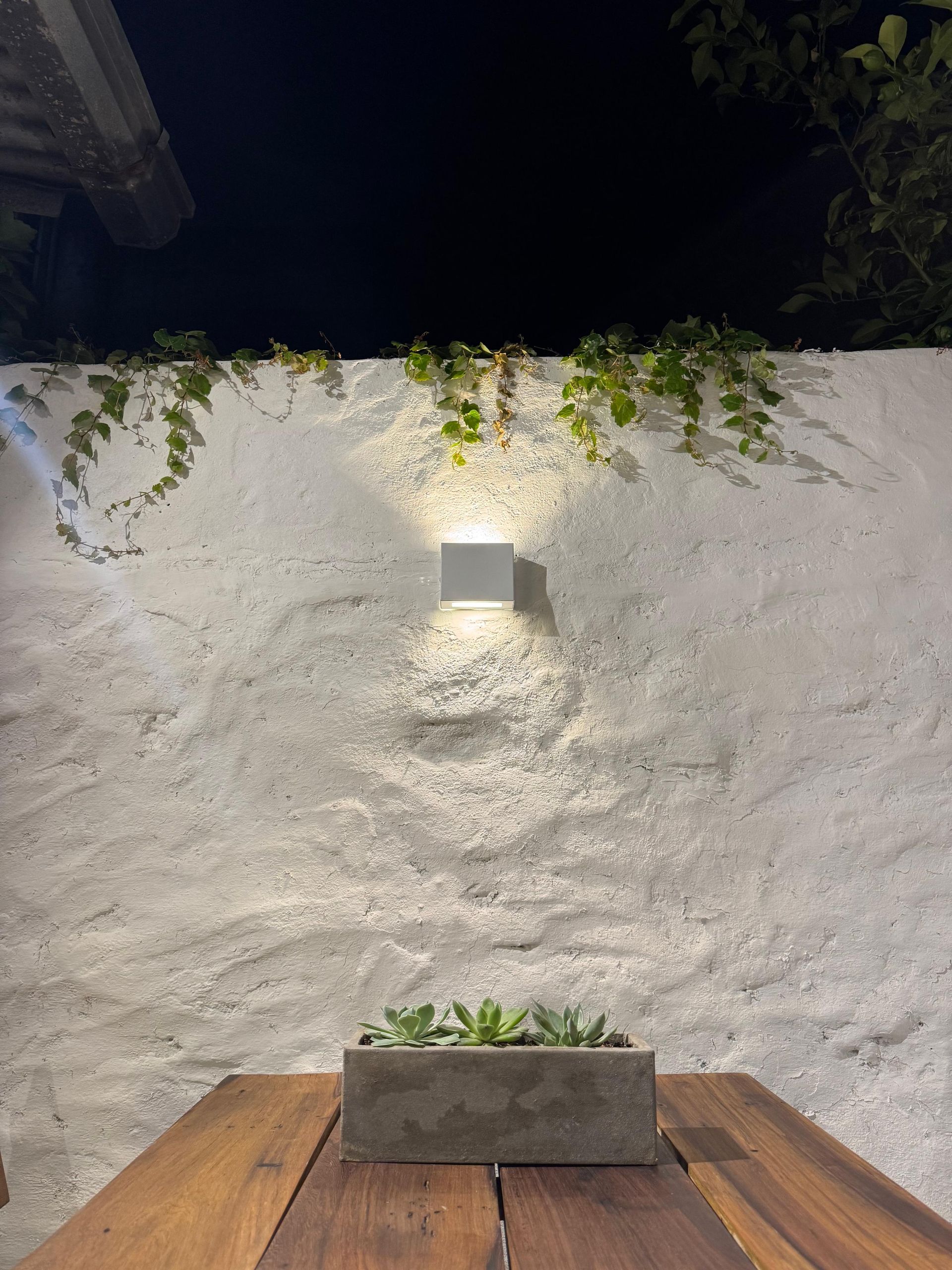 LOCAL frente con patio