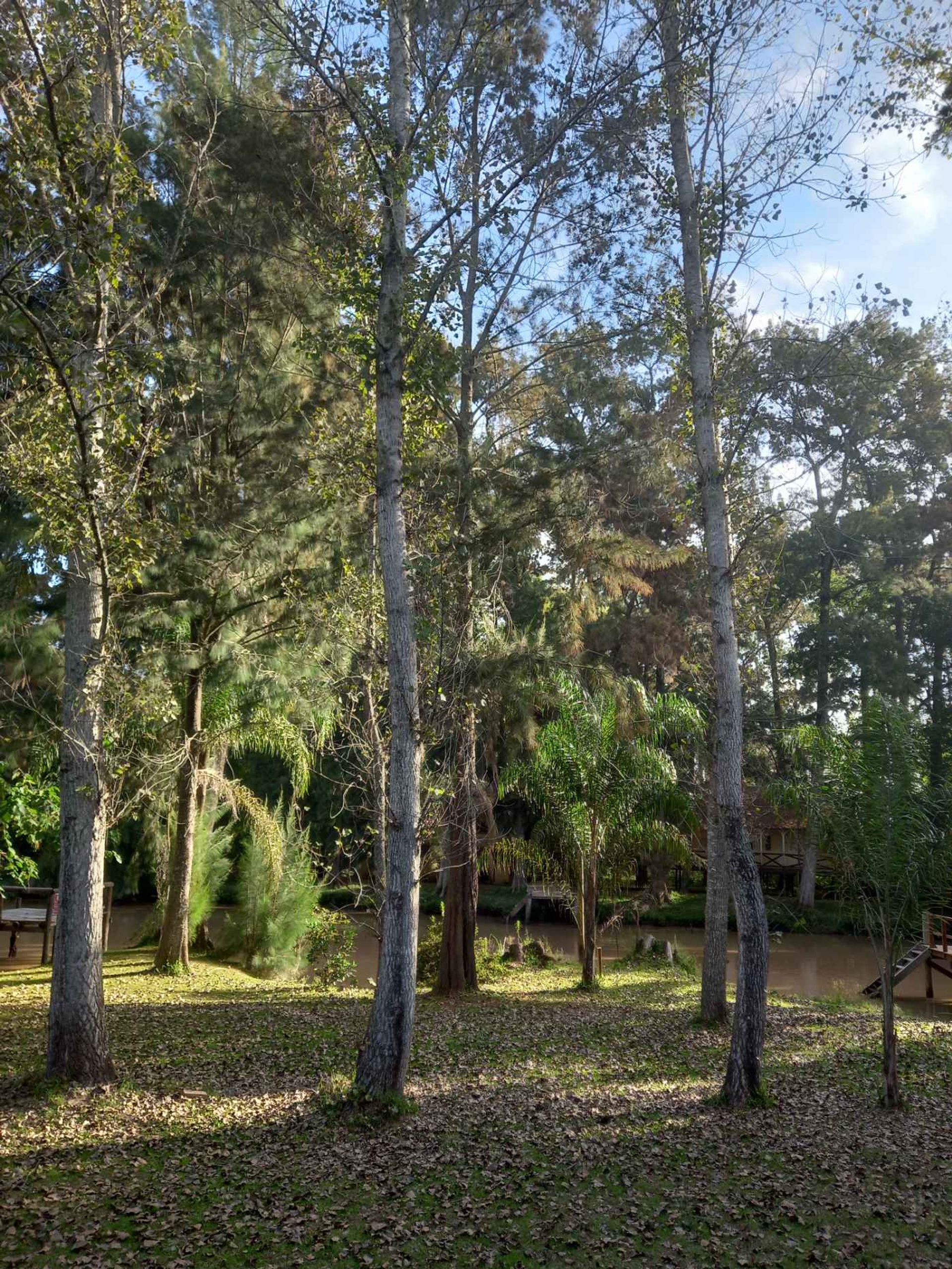 Venta Complejo Turístico 4 Casas Delta De Tigre