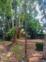 Venta De Lote De 522 M2 En Don Torcuato