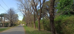 Land for Sale El Triangulo Don Torcuato 792 square meters