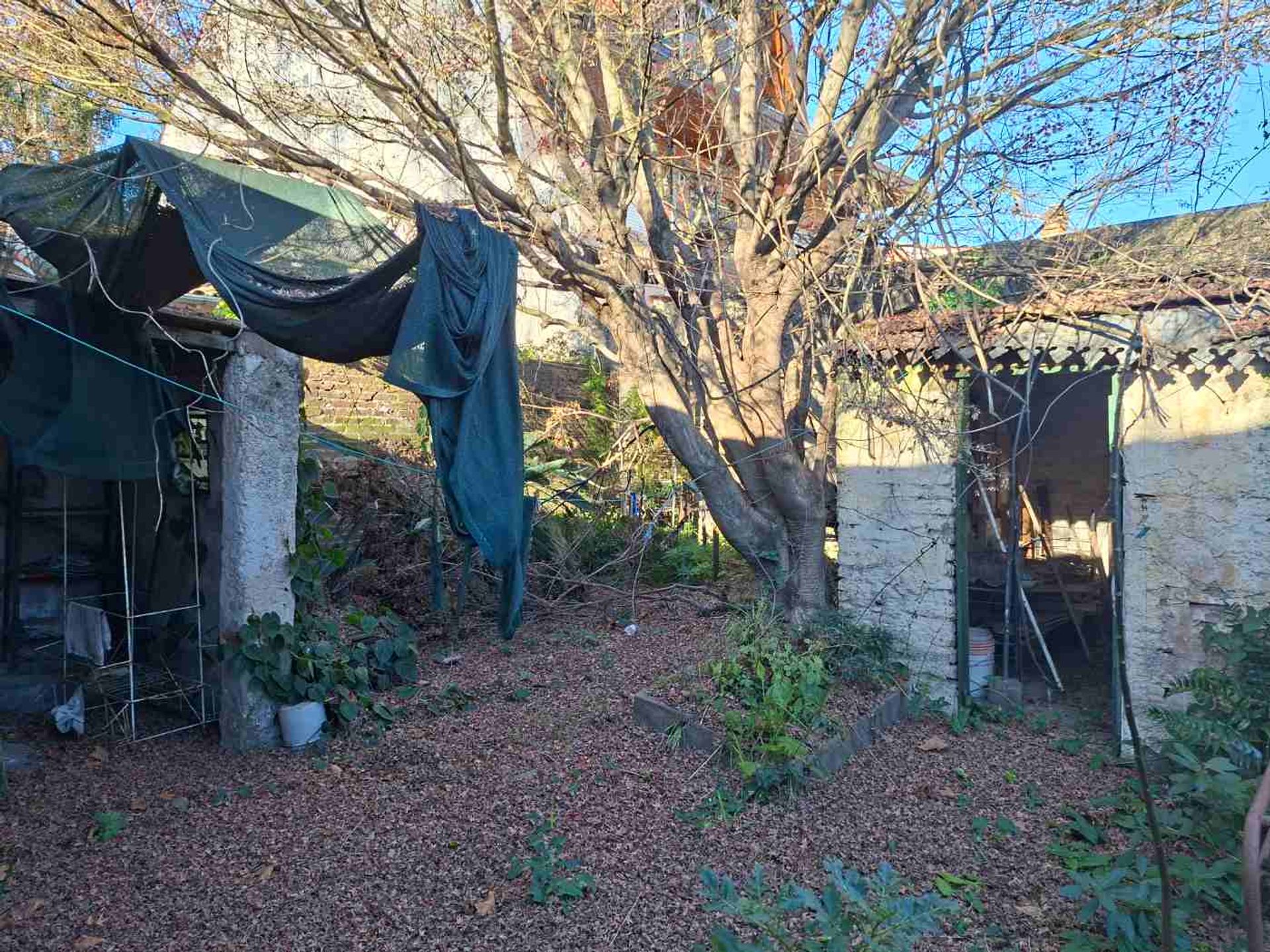 Lote en venta en La Lucila 236 m2 ideal desarrollo