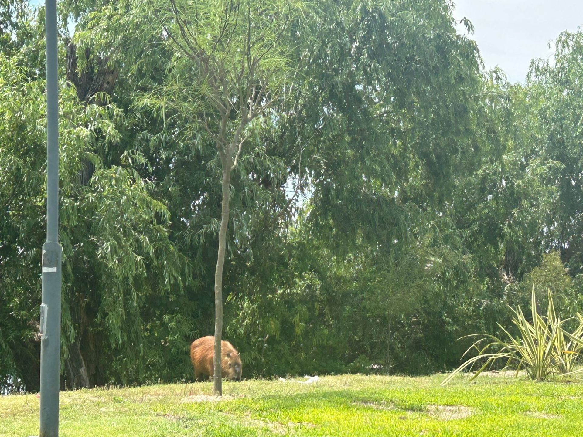 Venta Lote al agua río, Barrio El Canal Villanueva