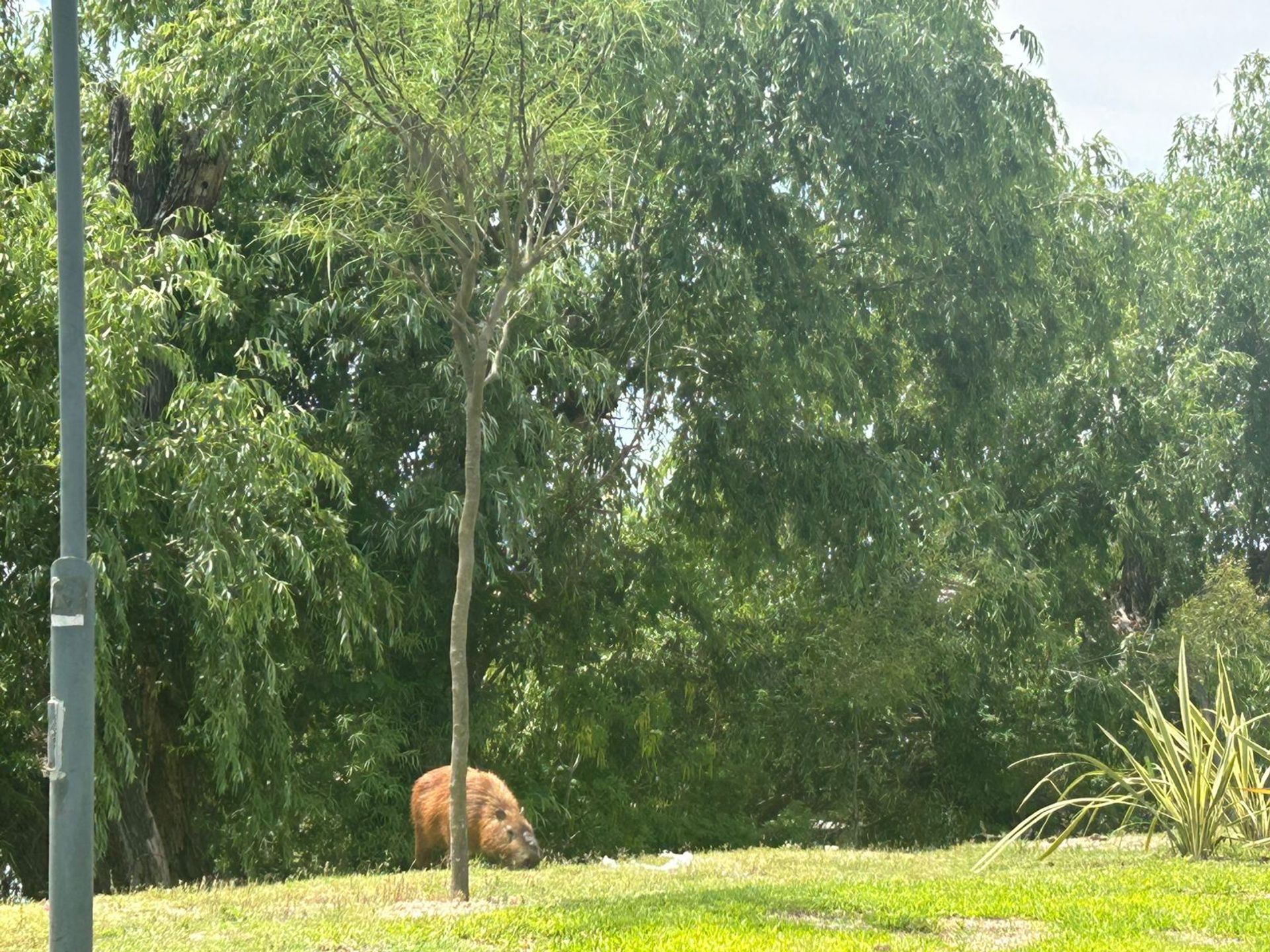 Venta Lote al agua río, Barrio El Canal Villanueva