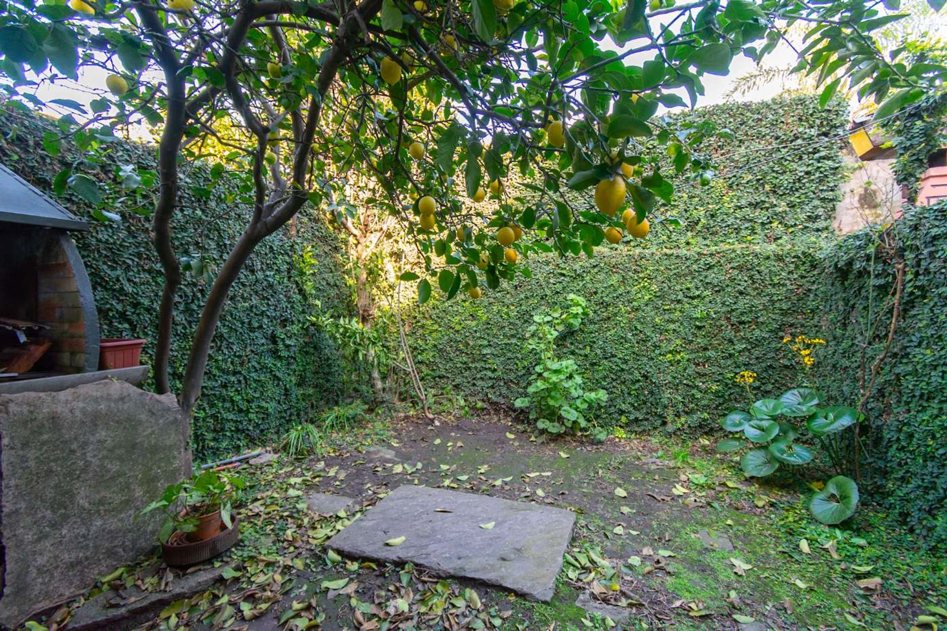 Venta pH 3 amb Duplex San Isidro con Potencial