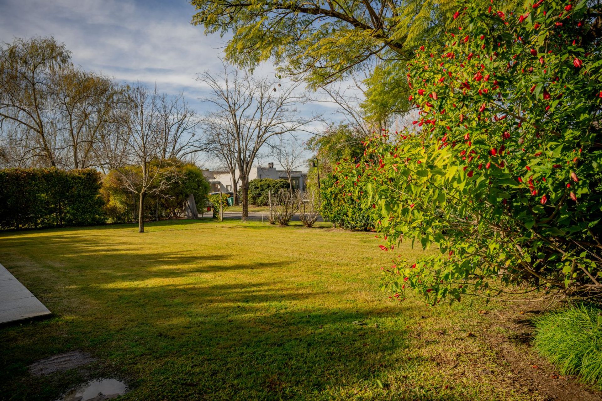 Casa 4 amb todo luz- jardin y piscina