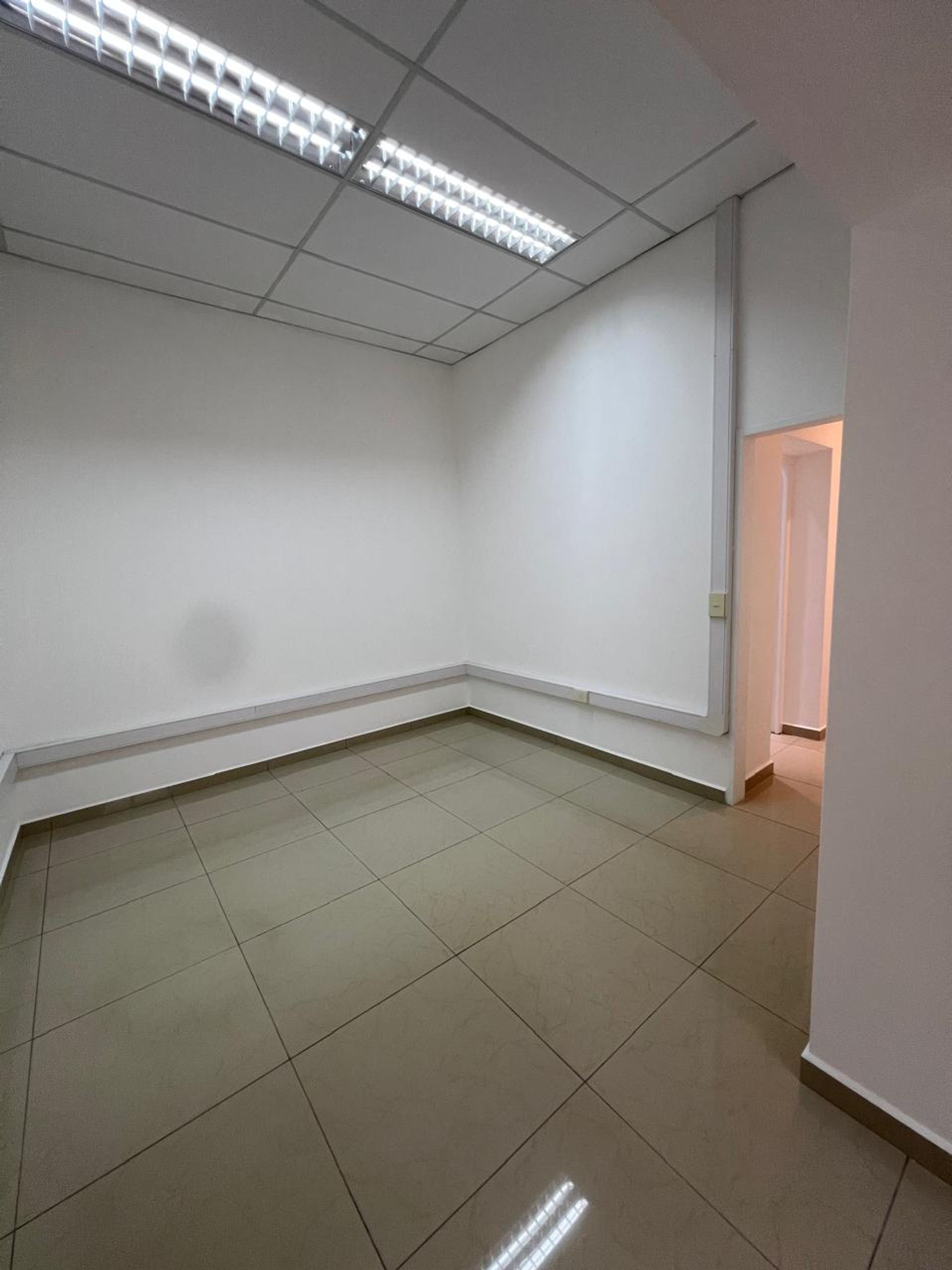 Alquiler Oficinas Impecables Y Luminosas Martinez