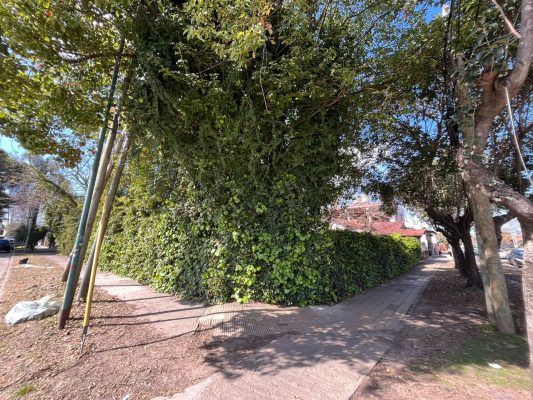 Venta Lote 15 F - 10 x 20 en Villa Adelina