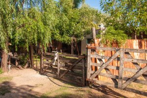 Sale Industrial Lot in Benavidez Tigre