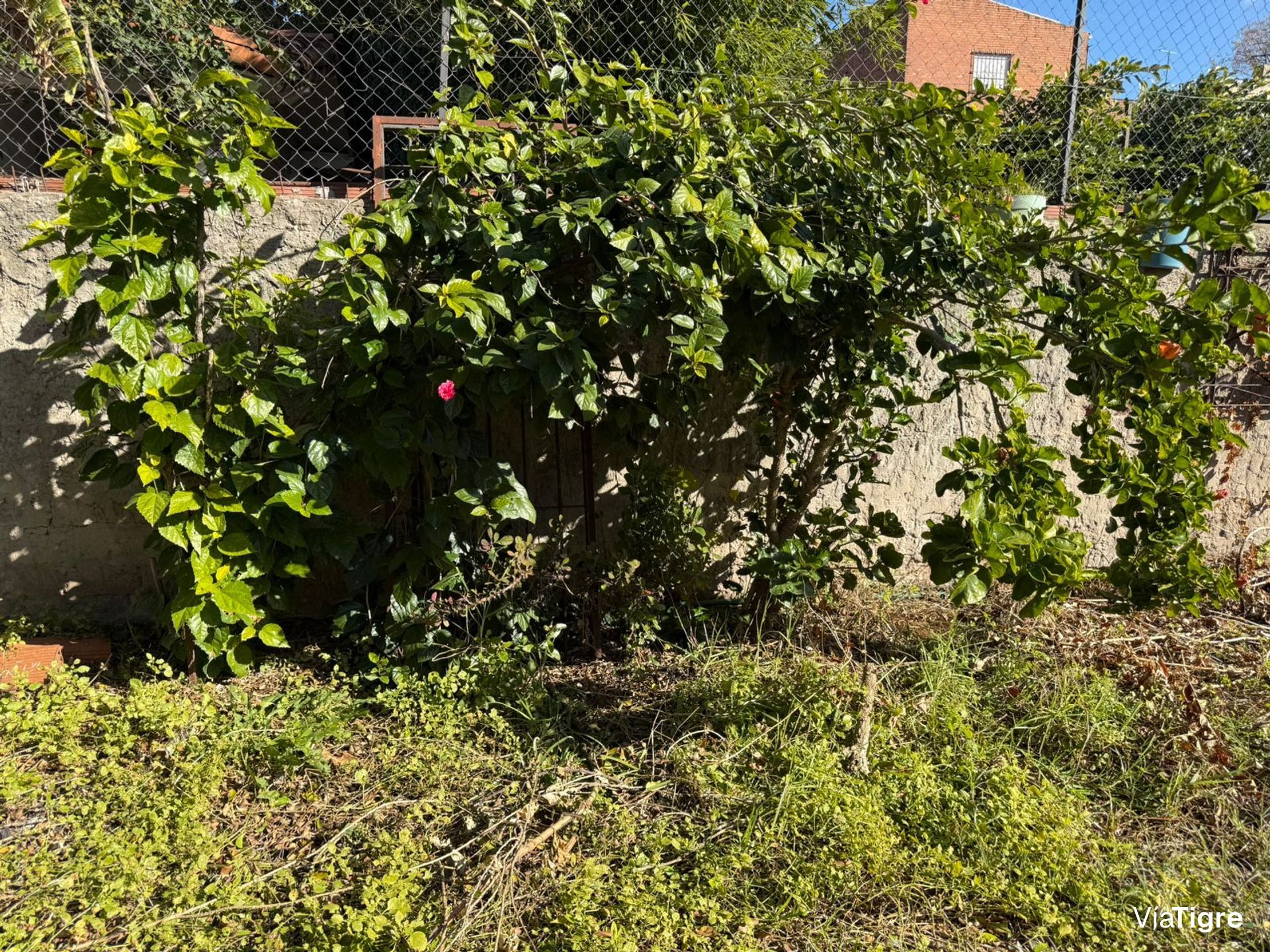 Venta Casa 3 Ambientes San Isidro A Reciclar