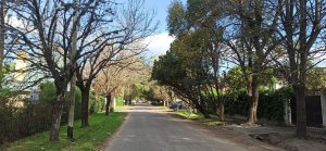 Land for Sale El Triangulo Don Torcuato 792 square meters
