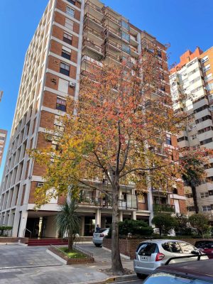 Alquiler Dpto 2 Ambientes Balcon Acassuso