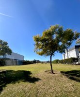 Lote Venta EL GOLF Nordelta Tigre interno 1310 m2
