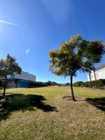 Lote Venta EL GOLF Nordelta Tigre interno 1310 m2