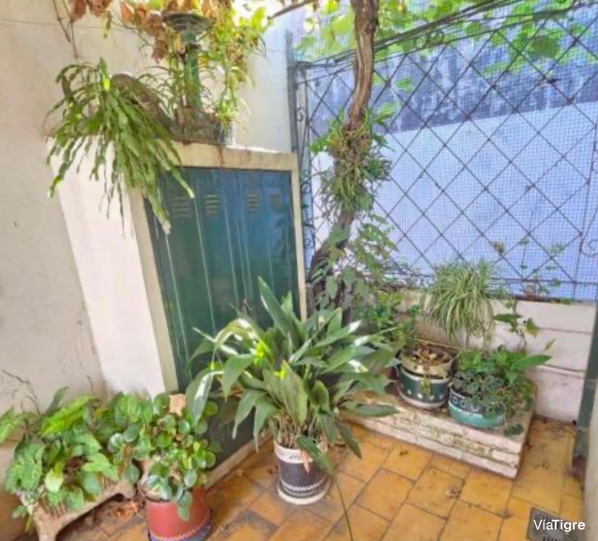 Hermosa Casa en lote propio San Fernando