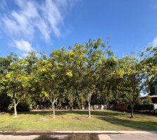 Venta Lote Barrancas De Santa María Pacheco