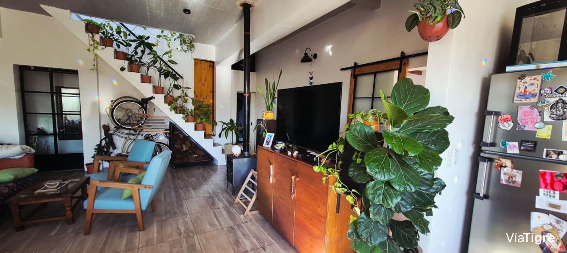 Cálido Ph, Con Alma Boho E Impronta Urban Jungle
