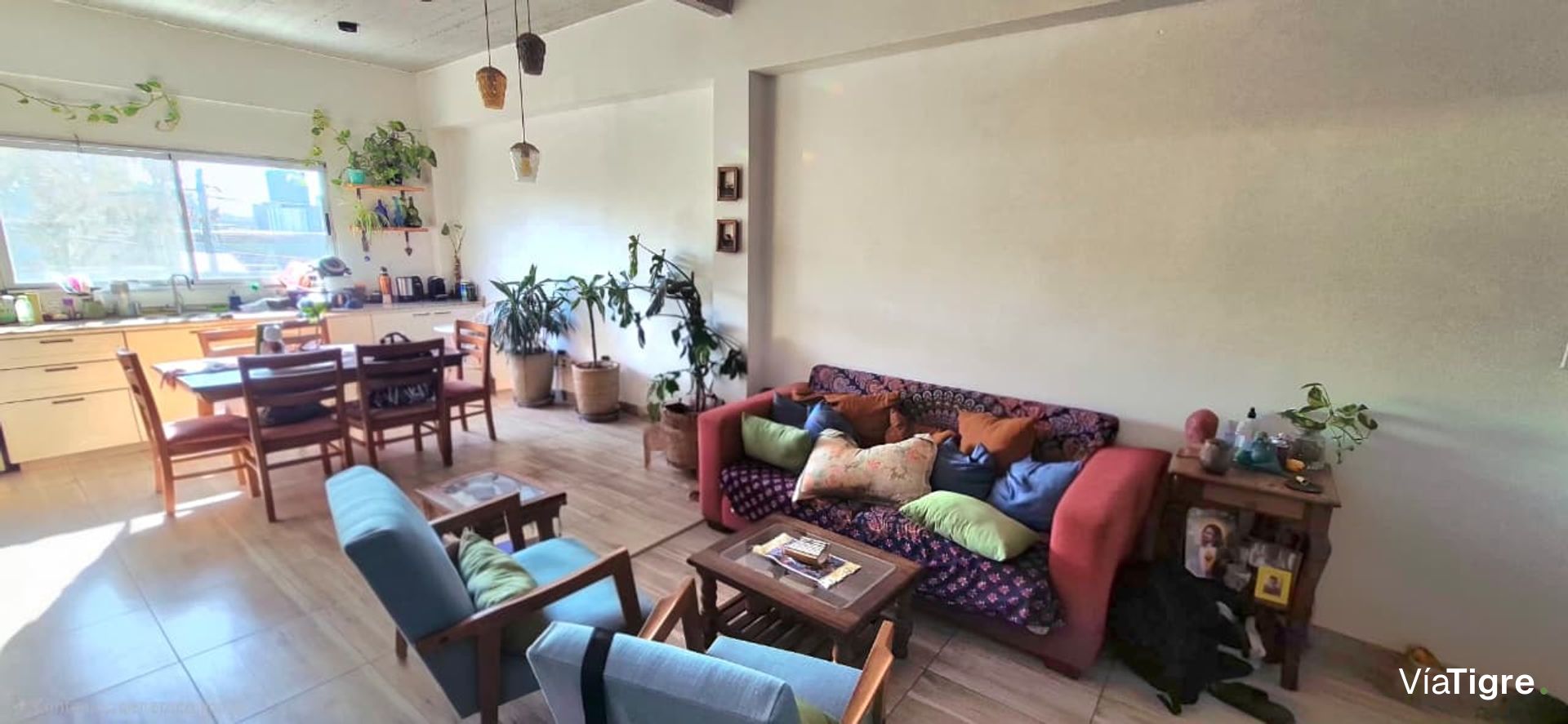 Cálido Ph, Con Alma Boho E Impronta Urban Jungle