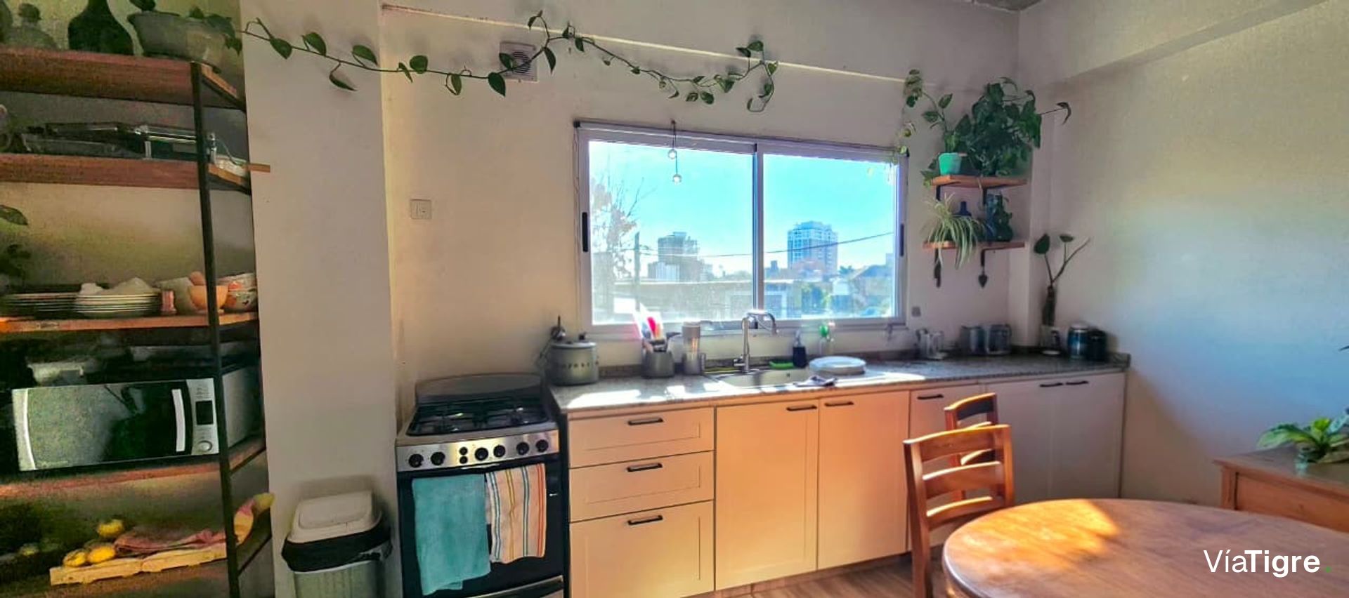 Cálido Ph, Con Alma Boho E Impronta Urban Jungle