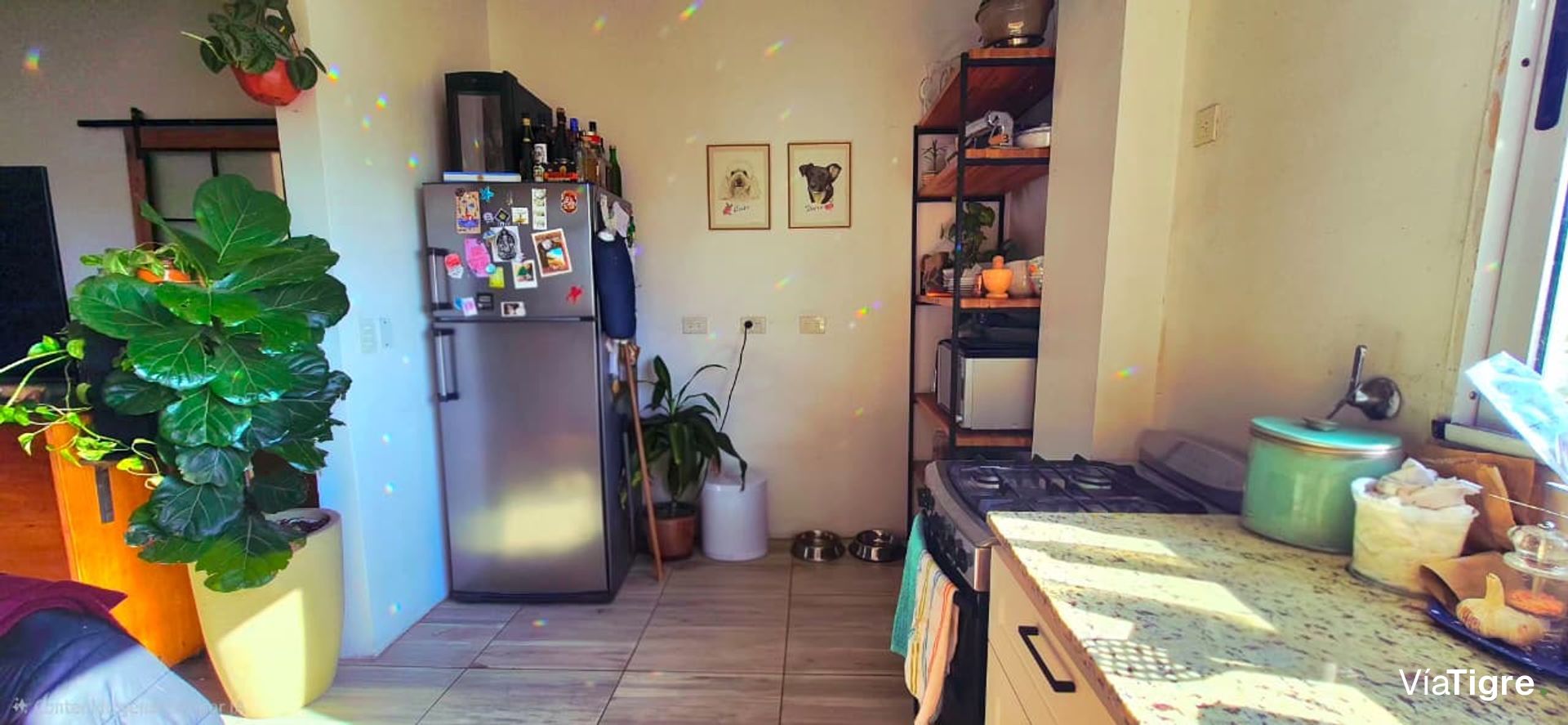 Cálido Ph, Con Alma Boho E Impronta Urban Jungle