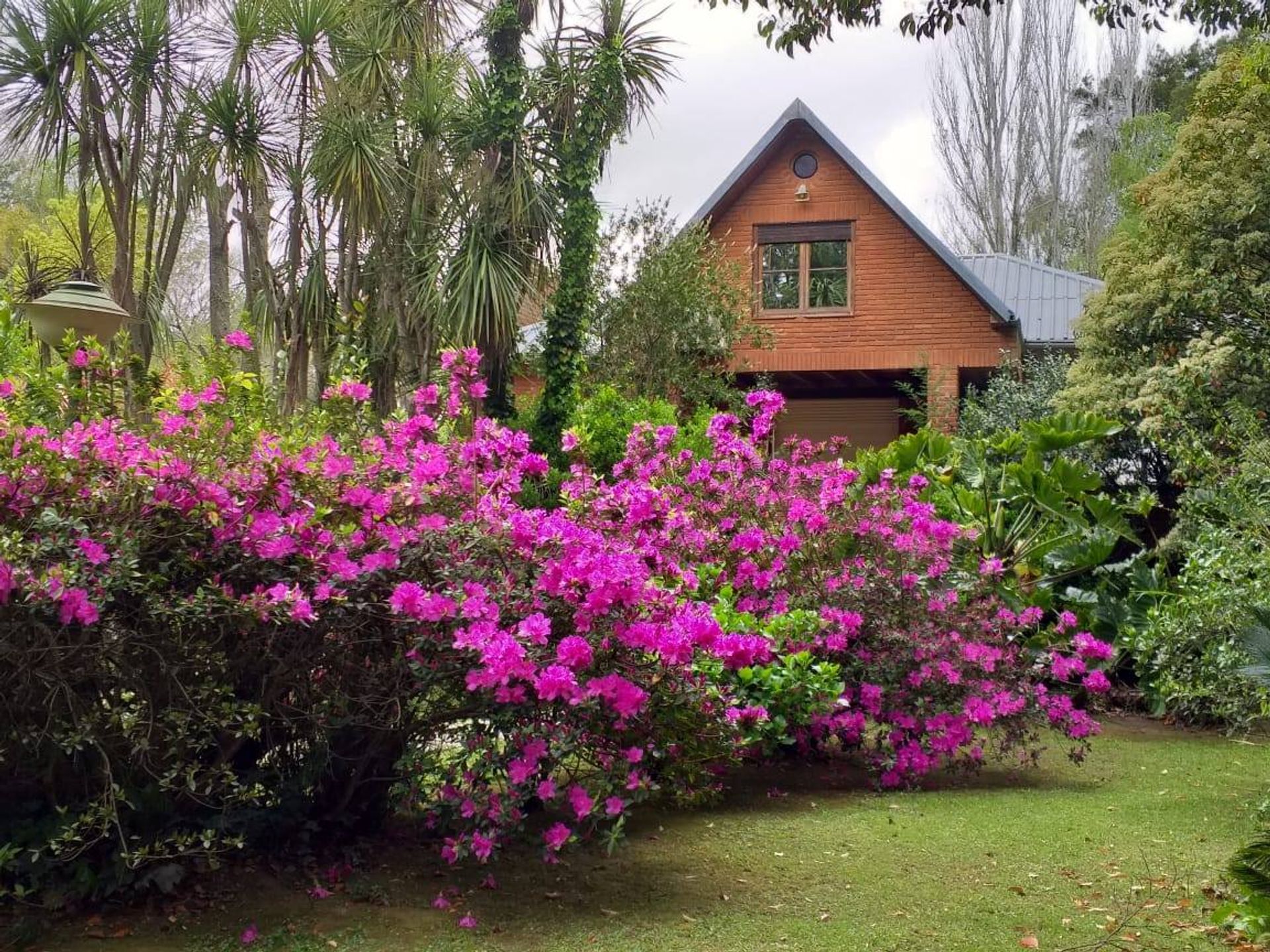 Spectacular land in Arroyo Abravieja