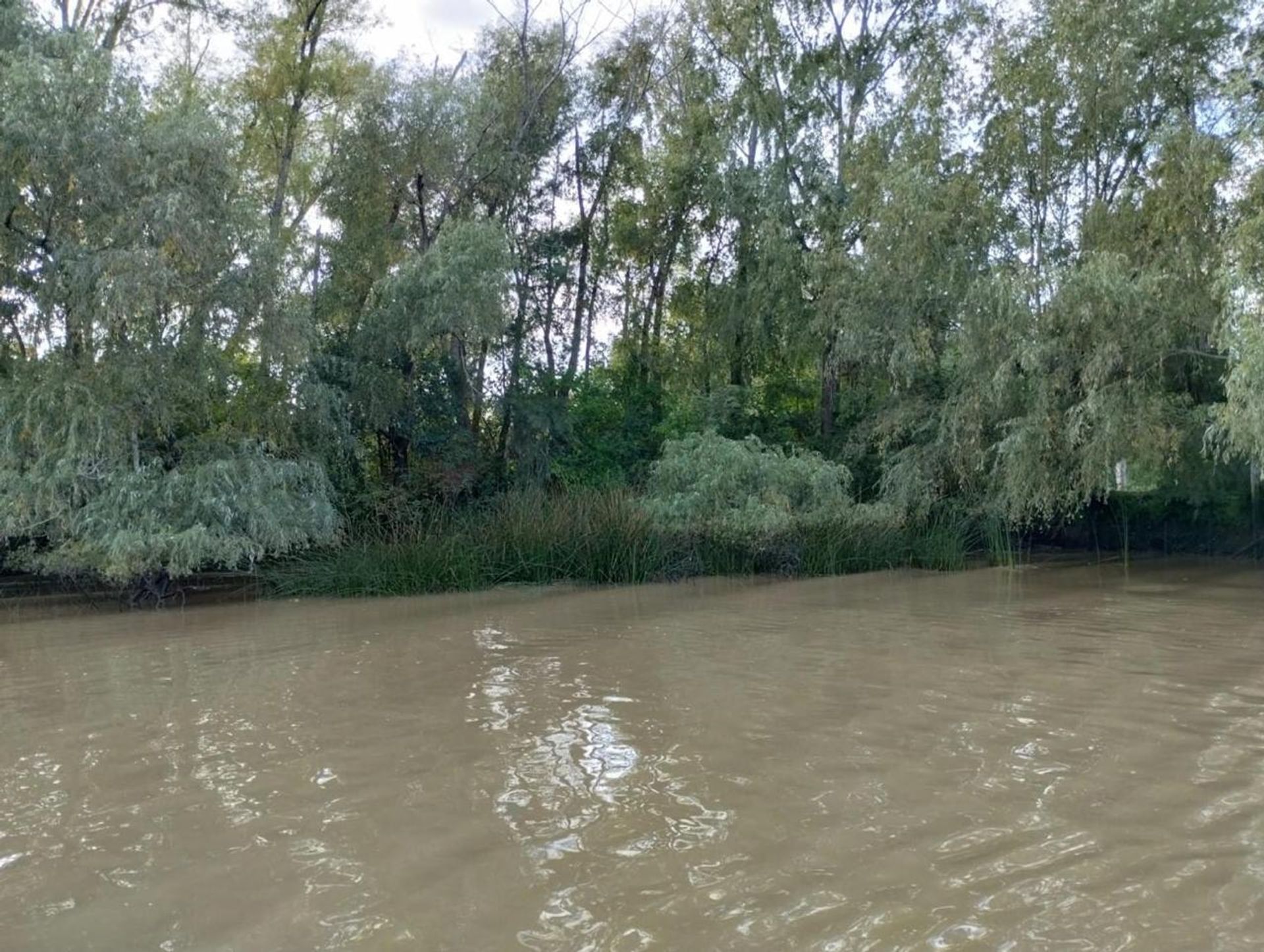 Lot in Delta de Tigre, First Section