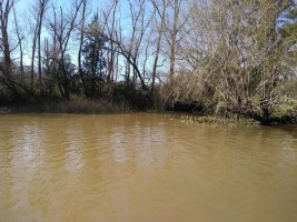 Lote En Delta De Tigre Primera Sección