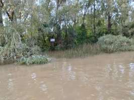 Lote En Delta De Tigre Primera Sección