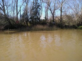 Lote En Delta De Tigre Primera Sección
