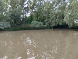 Lote En Delta De Tigre Primera Sección
