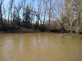 Lote En Delta De Tigre Primera Sección
