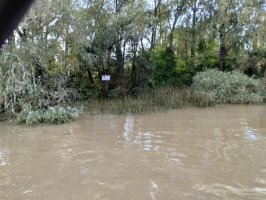 Lote En Delta De Tigre Primera Sección
