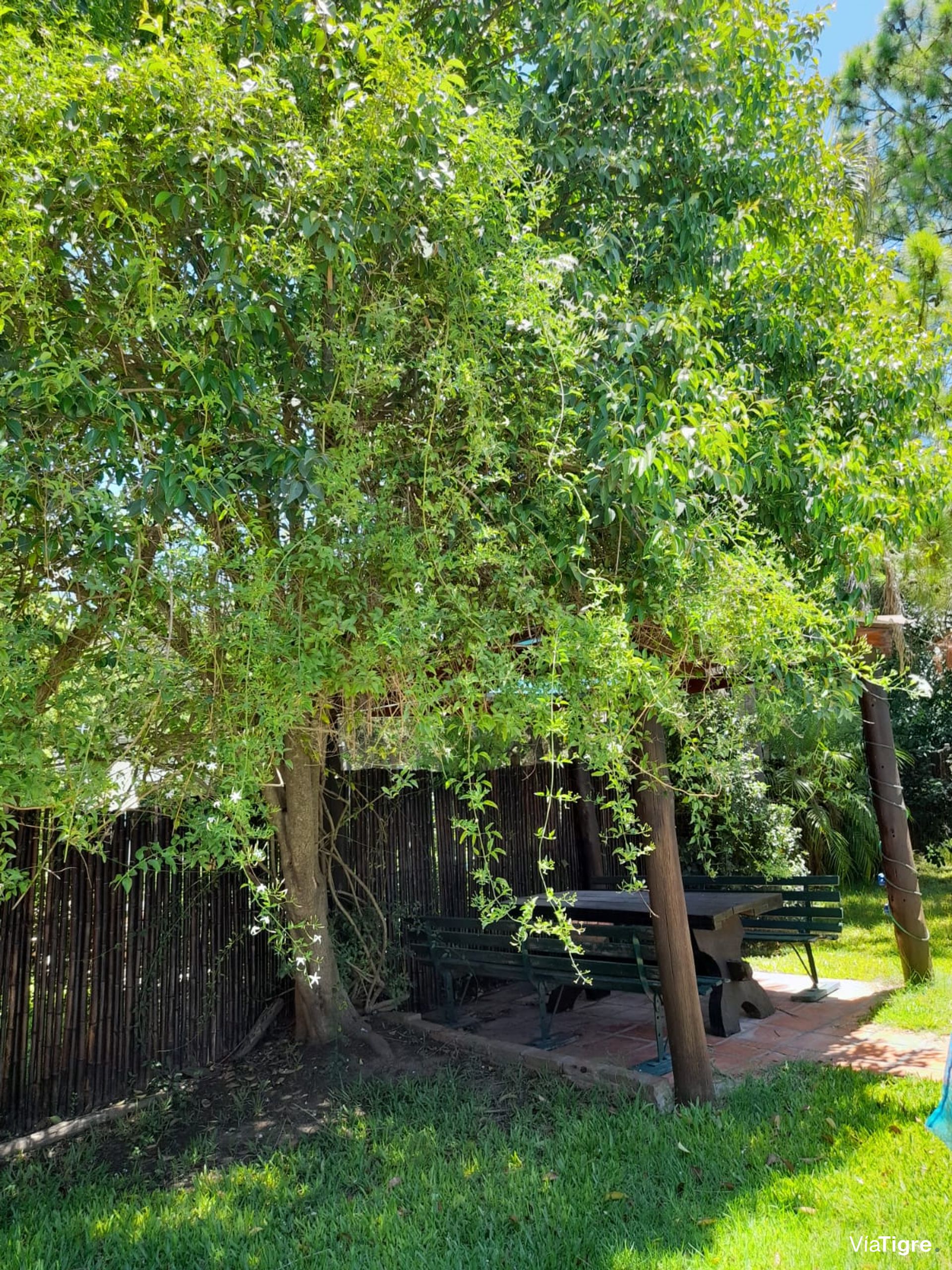 Venta Casa Benavidez - Tigre