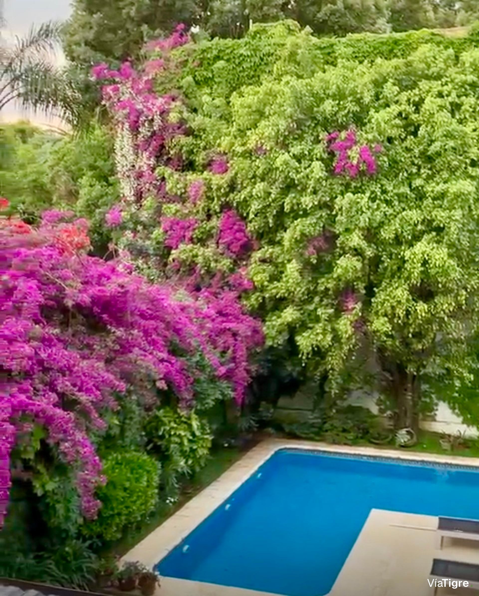 Casa Venta Martínez 315 m2 impecable 8 ambientes