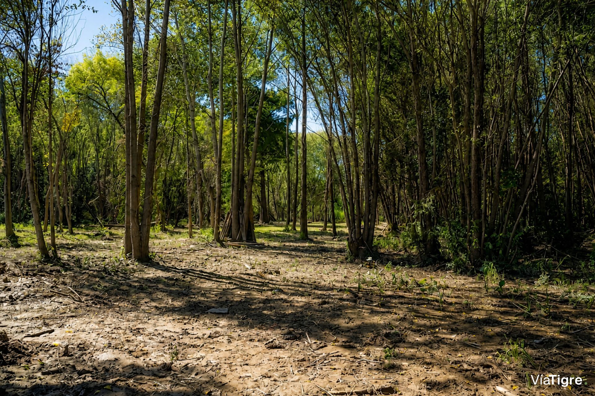 Lote de 5000 m² en Venta –Altos de la Serna -Delta