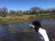 Pescando con mosca en laguna Fuentes del Coyle