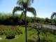 Vista del jardin