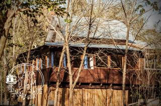 Cabañas Triton Reyes
