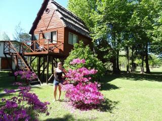 Villa Mónica Cabins