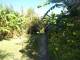 camino y frutales